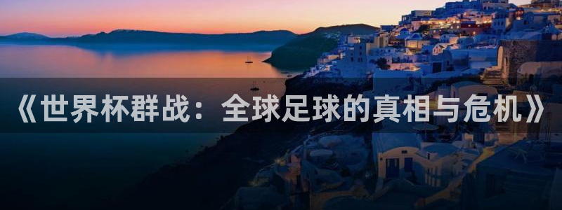 世界杯欧洲区预选赛：《世界杯群战：全球足球的真相与危机》