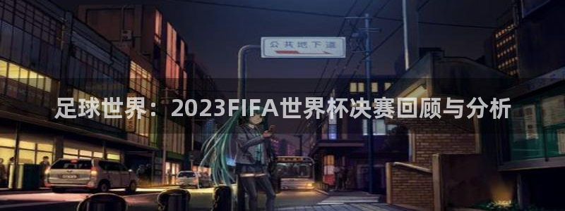 2006世界杯：足球世界：2023FIFA世界杯决赛回顾与分析