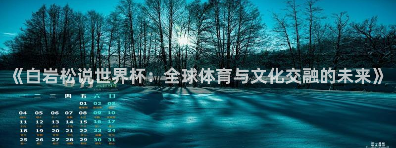 世界杯比赛直播：《白岩松说世界杯：全球体育与文化交融的未来》