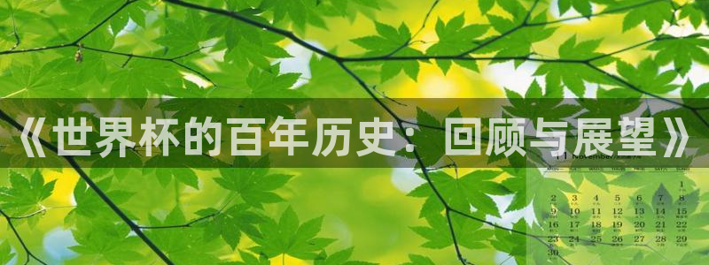 世界杯赛程表2026：《世界杯的百年历史：回顾与展望》