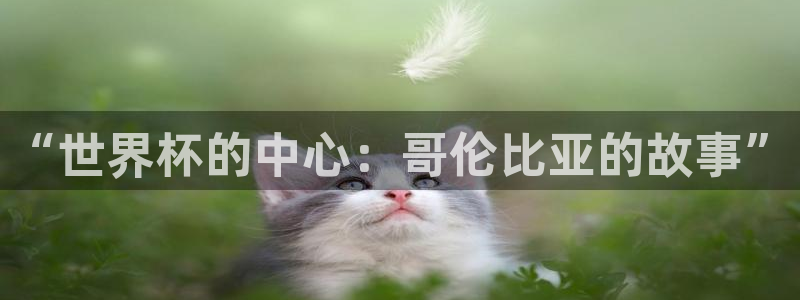 26世界杯：“世界杯的中心：哥伦比亚的故事”