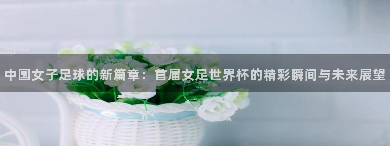 世界杯预选赛赛程时间表：中国女子足球的新篇章：首届女足世界杯的精彩瞬间与未来展望