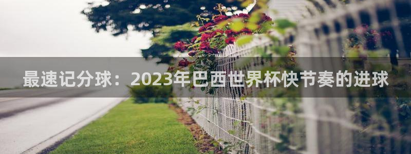 免费看足球直播比赛:最速记分球:2023年巴西世界杯快节奏的进球