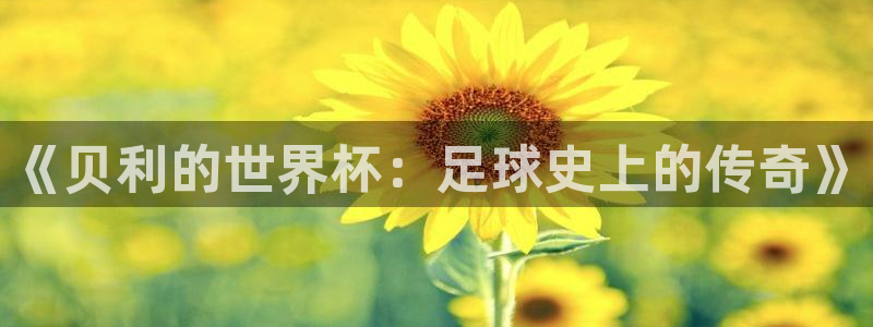 世界杯直播网站:《贝利的世界杯:足球史上的传奇》