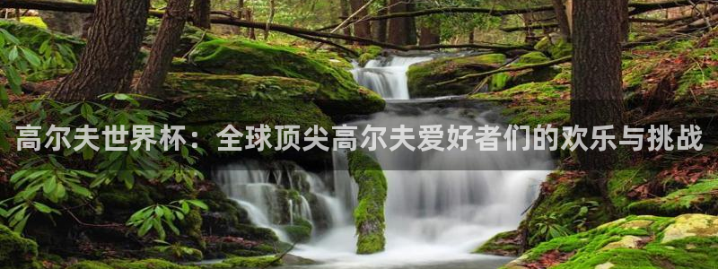 世界杯比赛赛程:高尔夫世界杯:全球顶尖高尔夫爱好者们的欢乐与挑战