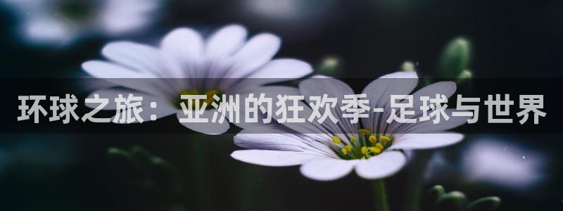 2026年足球世界杯赛程时间表:环球之旅:亚洲的狂欢季-足球与世界