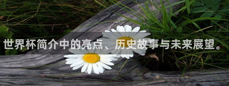 英足总杯直播：世界杯简介中的亮点、历史故事与未来展望。