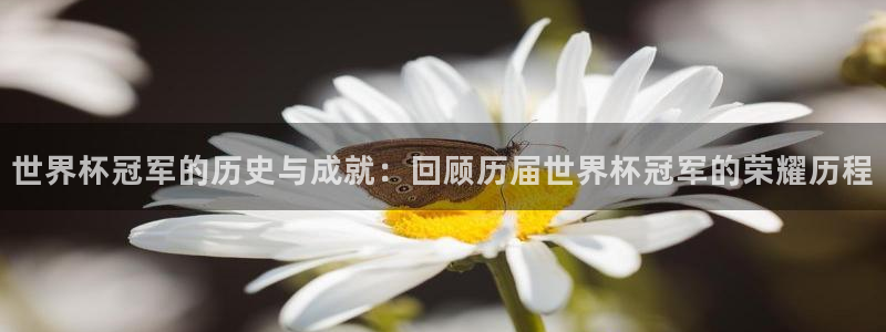 2026世界杯赛制：世界杯冠军的历史与成就：回顾历届世界杯冠军的荣耀历程