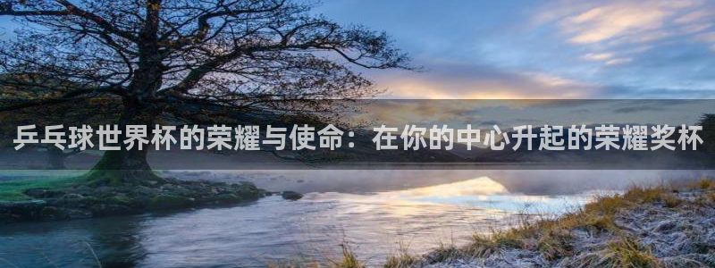 世界杯2026预选赛:乒乓球世界杯的荣耀与使命:在你的中心升起的荣耀奖杯