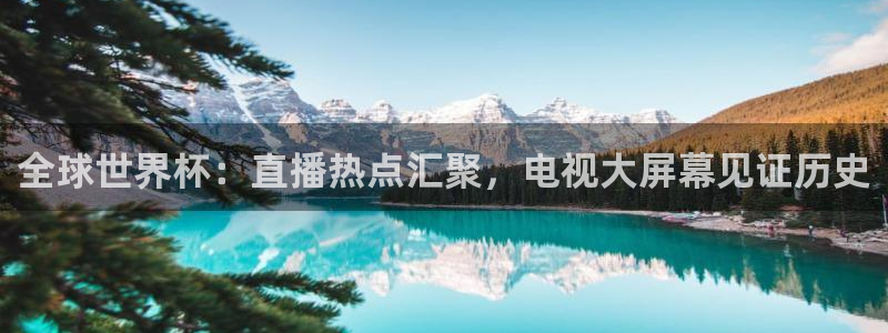 2026世界杯官网：全球世界杯：直播热点汇聚，电视大屏幕见证历史