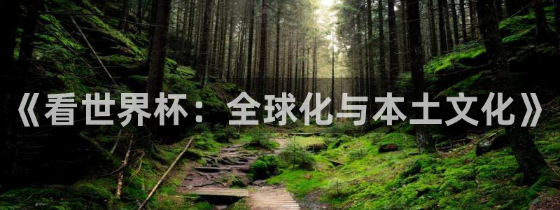 世界杯欧洲区赛程：《看世界杯：全球化与本土文化》