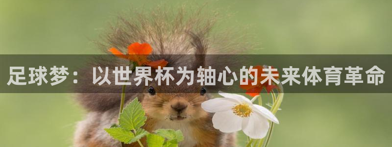 亚洲区世界杯预选赛：足球梦：以世界杯为轴心的未来体育革命